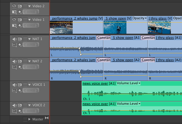 Audio tracks with keyframe adjustments